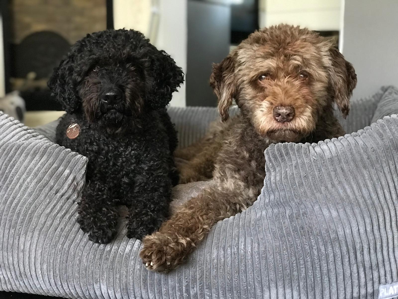 Two of the Elbgirls resting together