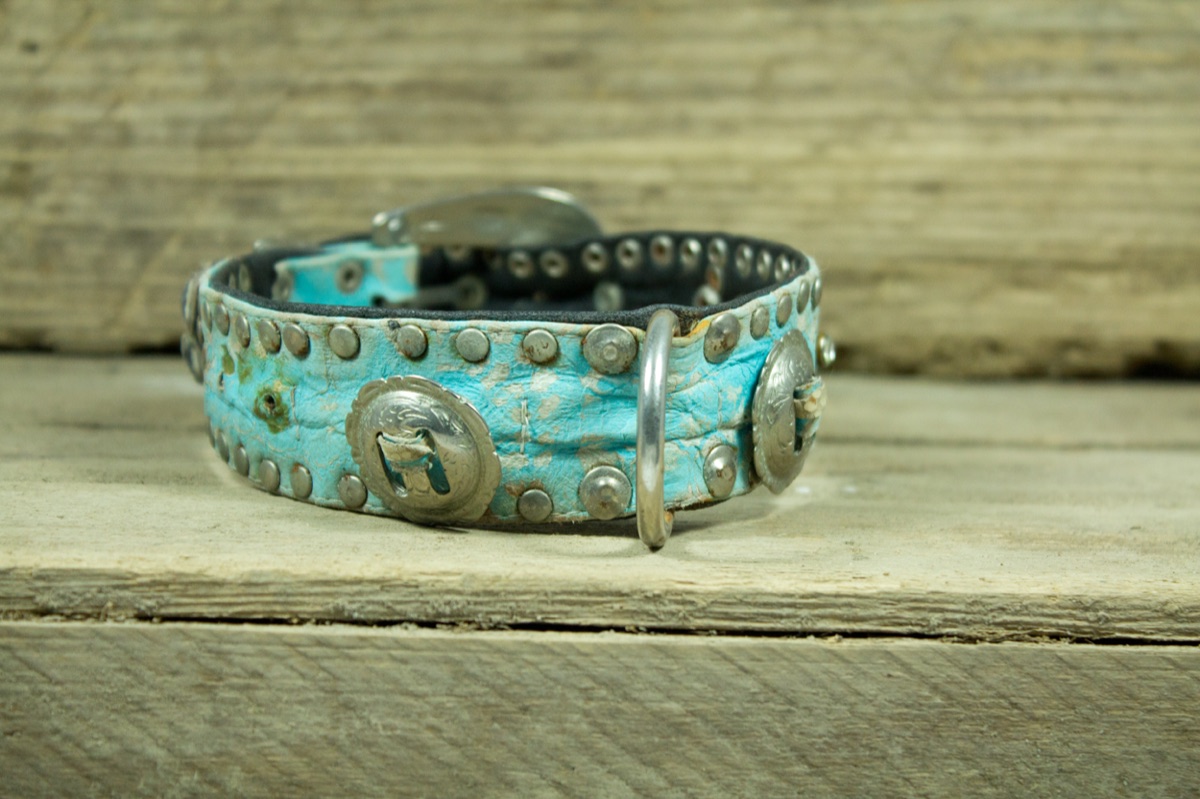 The very first Elbband collar